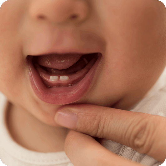 Cresterea dintisorilor la bebelusi Infant.ro