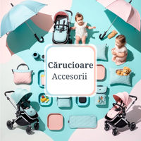 Accesorii pentru Cărucioare