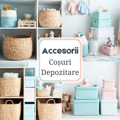 Cutii de Depozitare și Coșuri