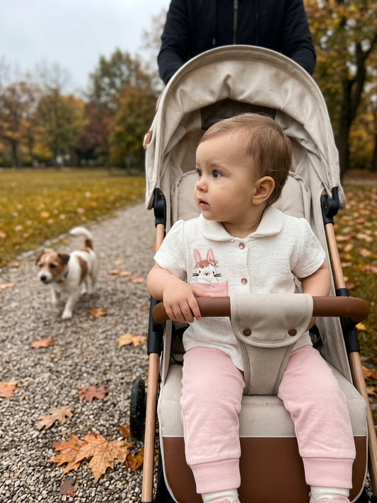 Set cămașă și pantaloni BabyM cu iepuraș brodat 3-6 Luni - 6-9 Luni (1) [ps:78cc70f3-baca-4245-a091-cf4f64001cd4]