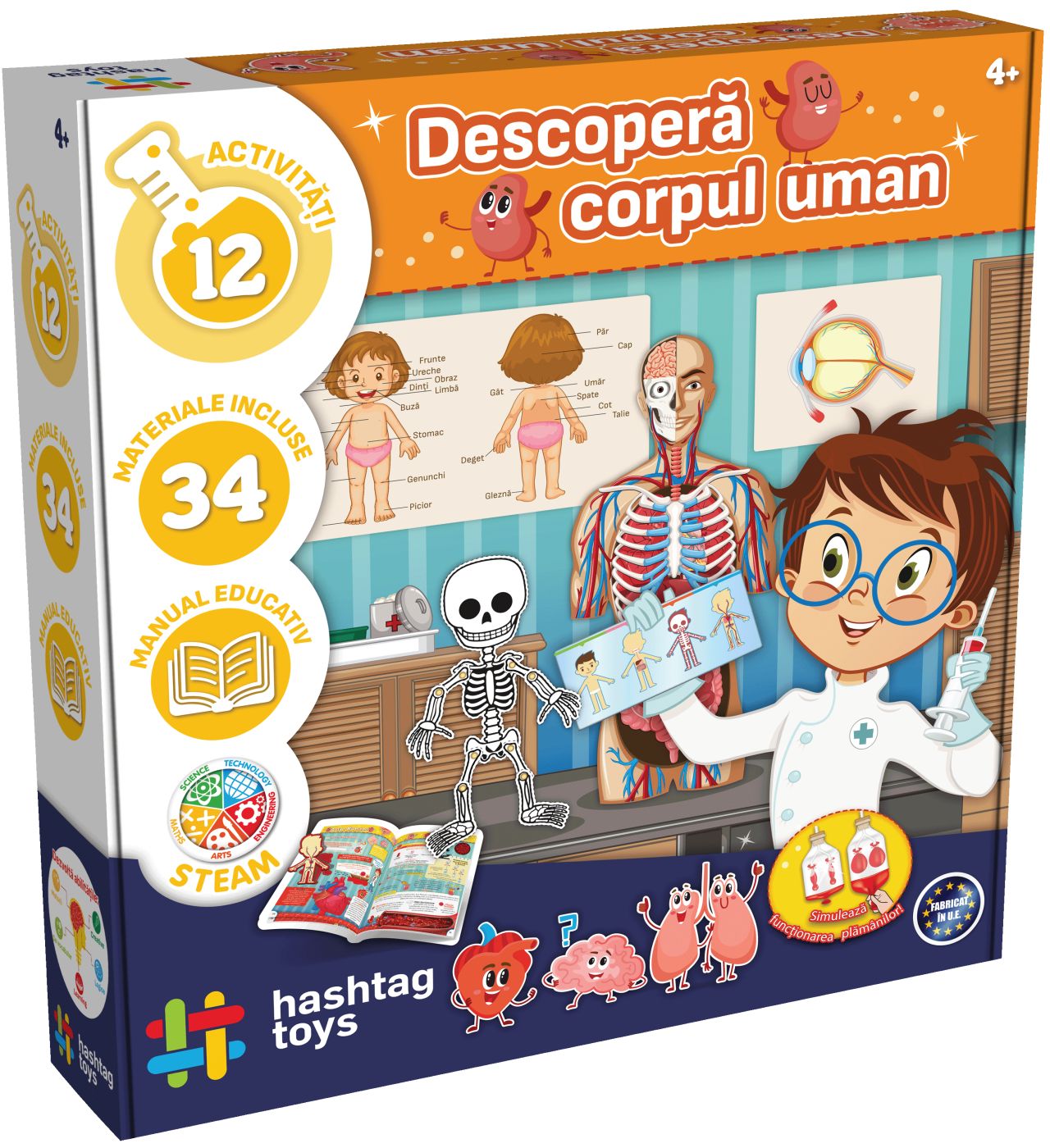 JOC EDUCATIV DESCOPERA CORPUL UMAN VIVA TOYS - Imagine 1 [ps:e290efff-dab1-4705-ac99-aff7e2249e94]