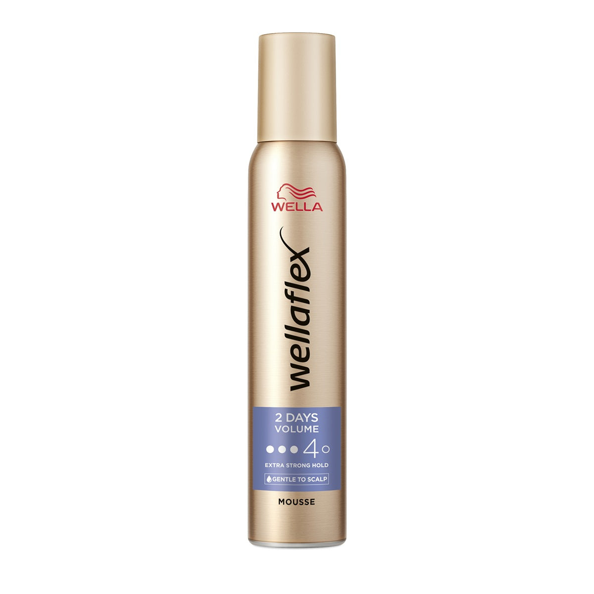WELLAFLEX 2Days Volume, spuma de par, pentru fixare - Imagine 1 [ps:baf13647-0759-497b-b32c-08b42f5643bd]