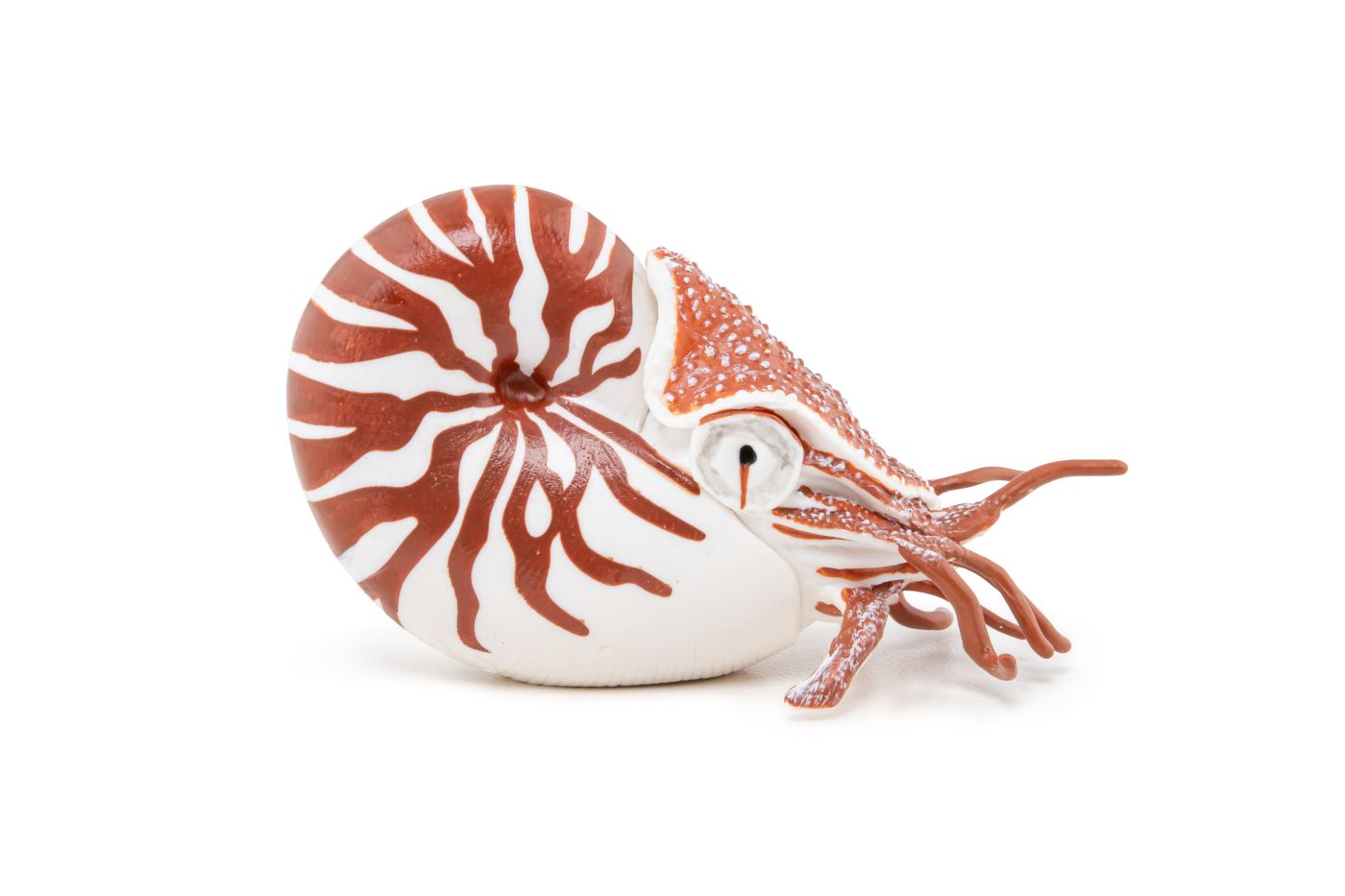 PAPO FIGURINA NAUTILUS - Imagine 1 [ps:8d704b3f-fe29-42ff-8efd-11b369dfdad3]