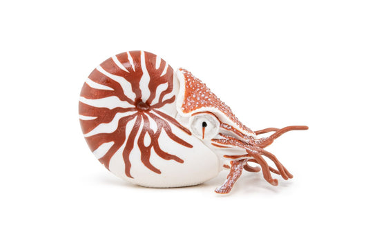 PAPO FIGURINA NAUTILUS - Imagine 1 [ps:8d704b3f-fe29-42ff-8efd-11b369dfdad3]