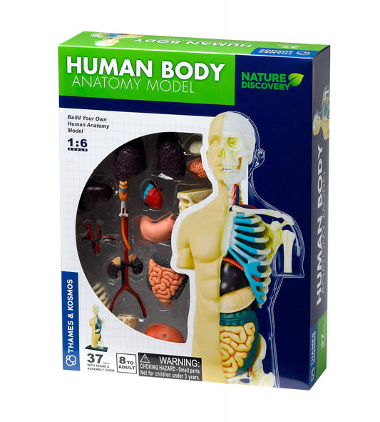 Kit STEM Anatomia corpului uman, Thames & Kosmos - Imagine 1 [ps:27593fa2-94a6-4ffc-bd28-09cdd227eea1]