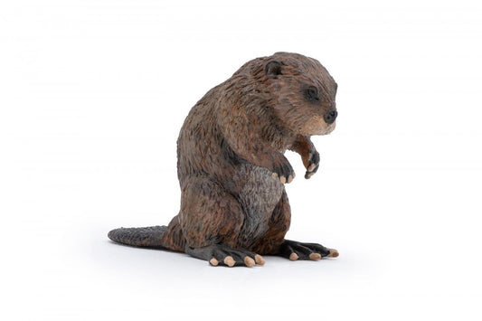 PAPO FIGURINA CASTOR - Imagine 1 [ps:43d0bb16-a3ed-4551-bd4d-a731e4342b06]