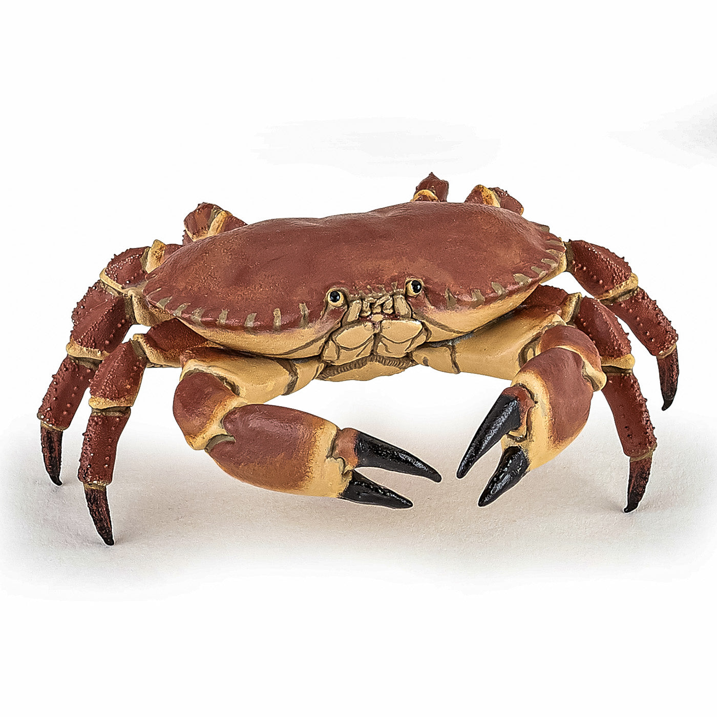 PAPO FIGURINA CRAB - Imagine 1 [ps:d1c4d258-9f88-4765-b54c-5db63bc3f4b8]