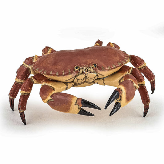 PAPO FIGURINA CRAB - Imagine 1 [ps:d1c4d258-9f88-4765-b54c-5db63bc3f4b8]