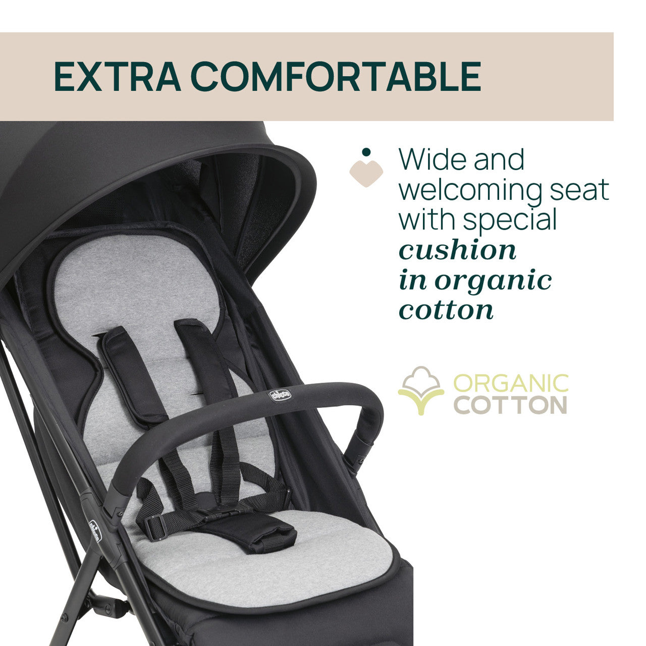 Carucior sport Chicco Taormina, Blush (Roz), 0luni+ - Charcoal (Negru) (1) [ps:e2f3dc7b-d697-421f-8d2a-6aa6fa1afb79]