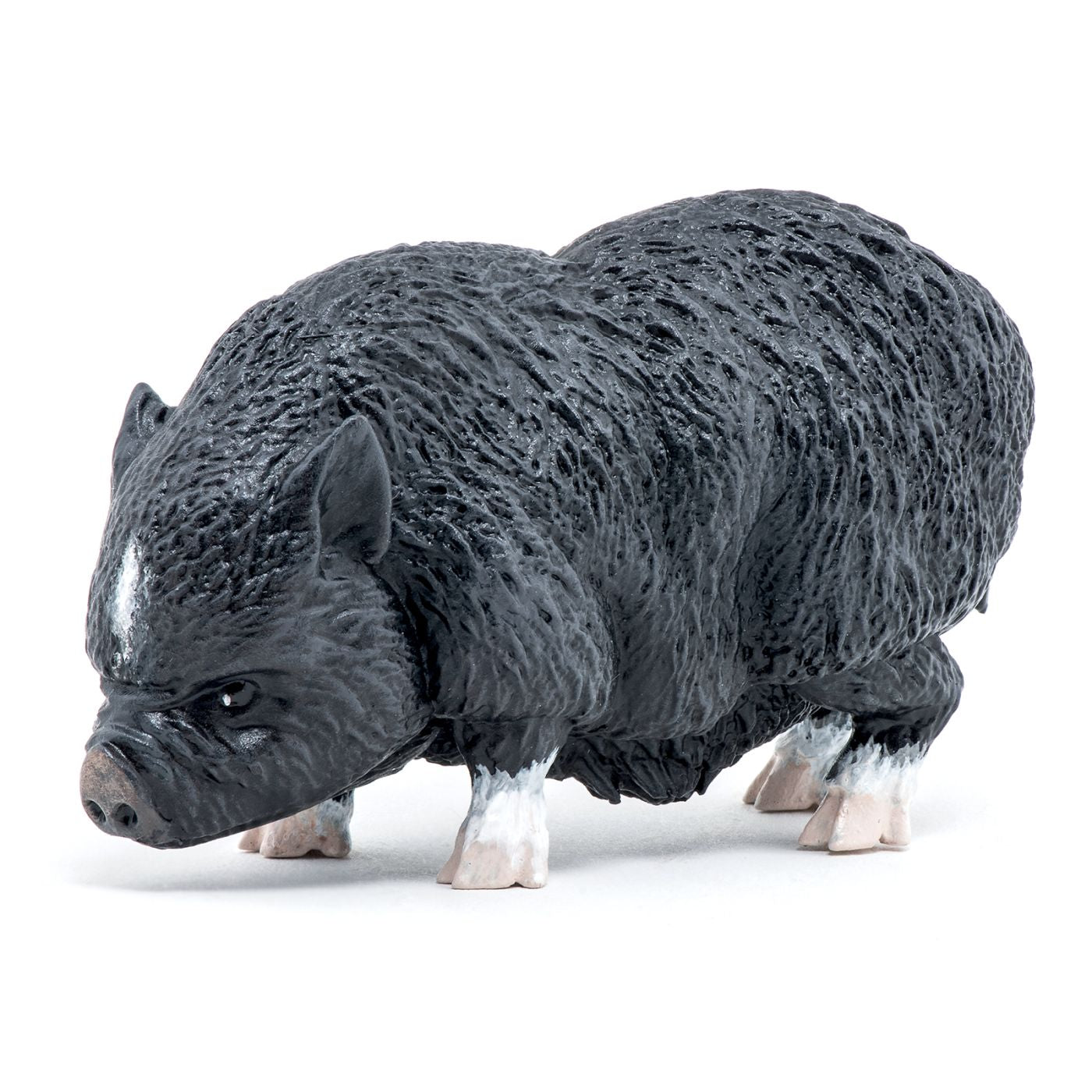 PAPO FIGURINA PORC VIETNAMEZ - Imagine 1 [ps:3032d6e0-d884-448f-9e04-308cd713e92d]