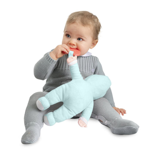 Jucarie copii Chicco Papusa cu gentuta, roz si bleu, 12luni+ - Roz si Bleu (1) [ps:d668ca81-9e19-4f37-9f36-3d1b6f073015]