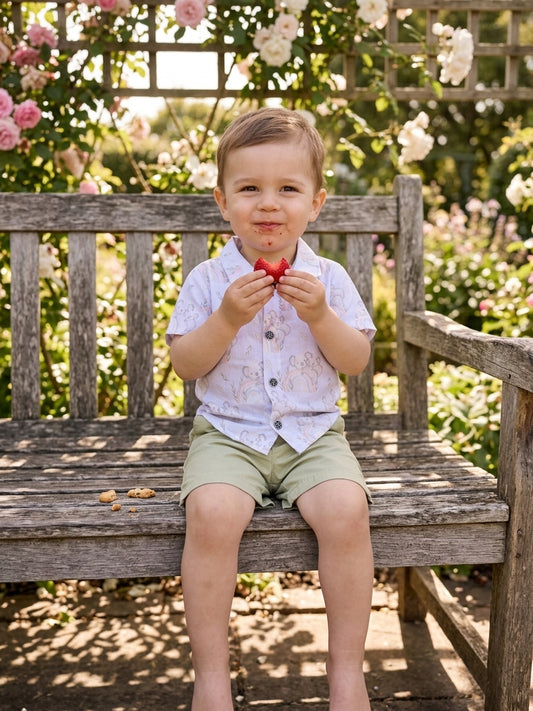 Set Cămașă Koala și Pantaloni Kaki 9-12 Luni - INFANT - 9-12 Luni (1) [ps:1fa8f0ad-4d61-40ba-b8ea-d662d8a0090a]