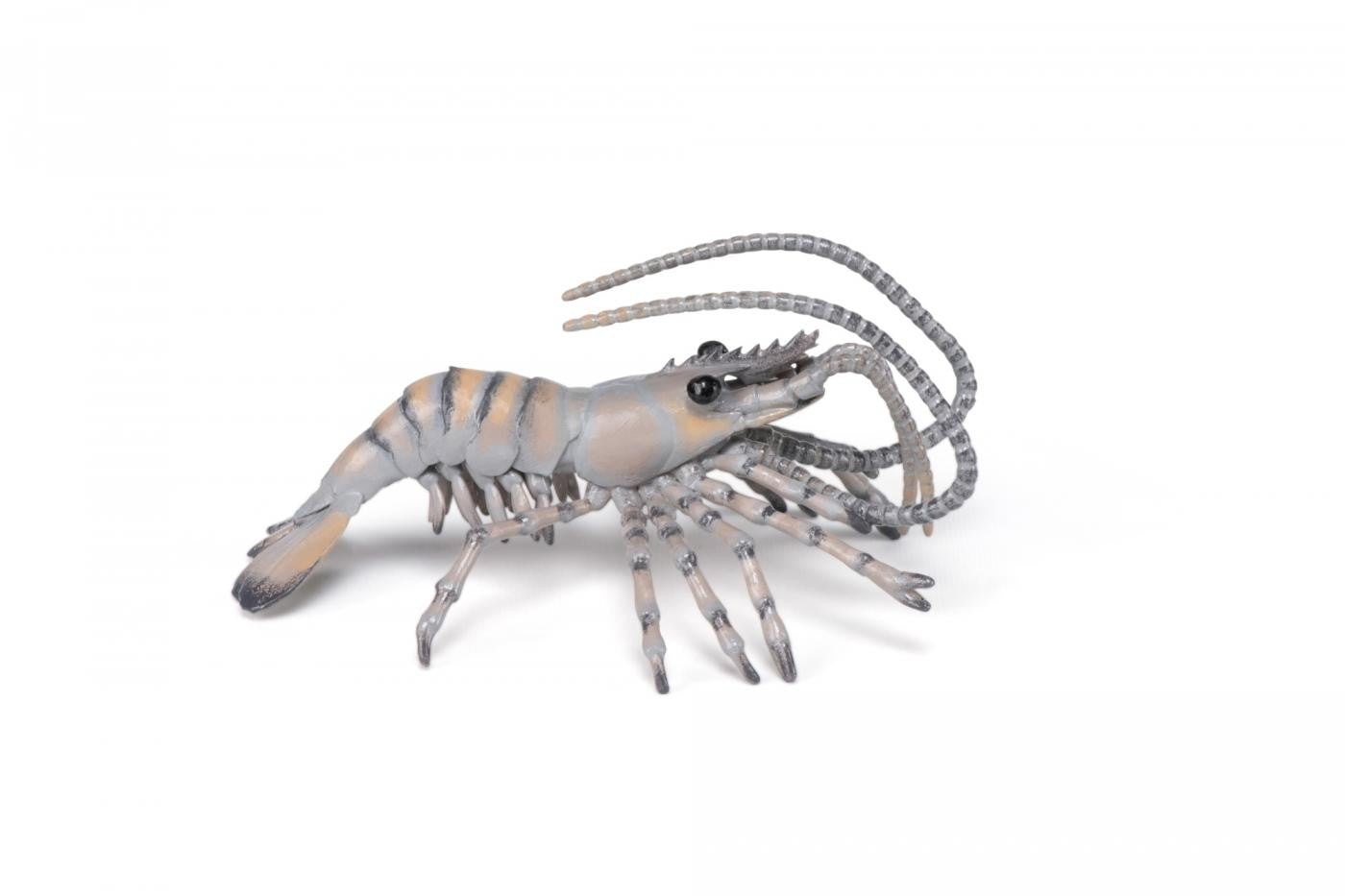 PAPO FIGURINA CREVETE - Imagine 1