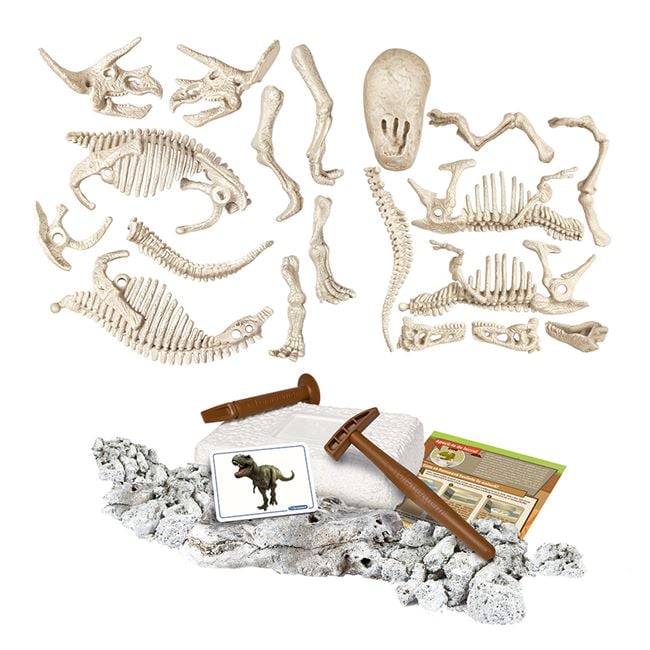 Set Sapă Fosile Dinozauri T-Rex & Triceratops Jumbo - Default Title (1) [ps:7509a35c-6538-47b1-99f6-9cfdb82251b5]
