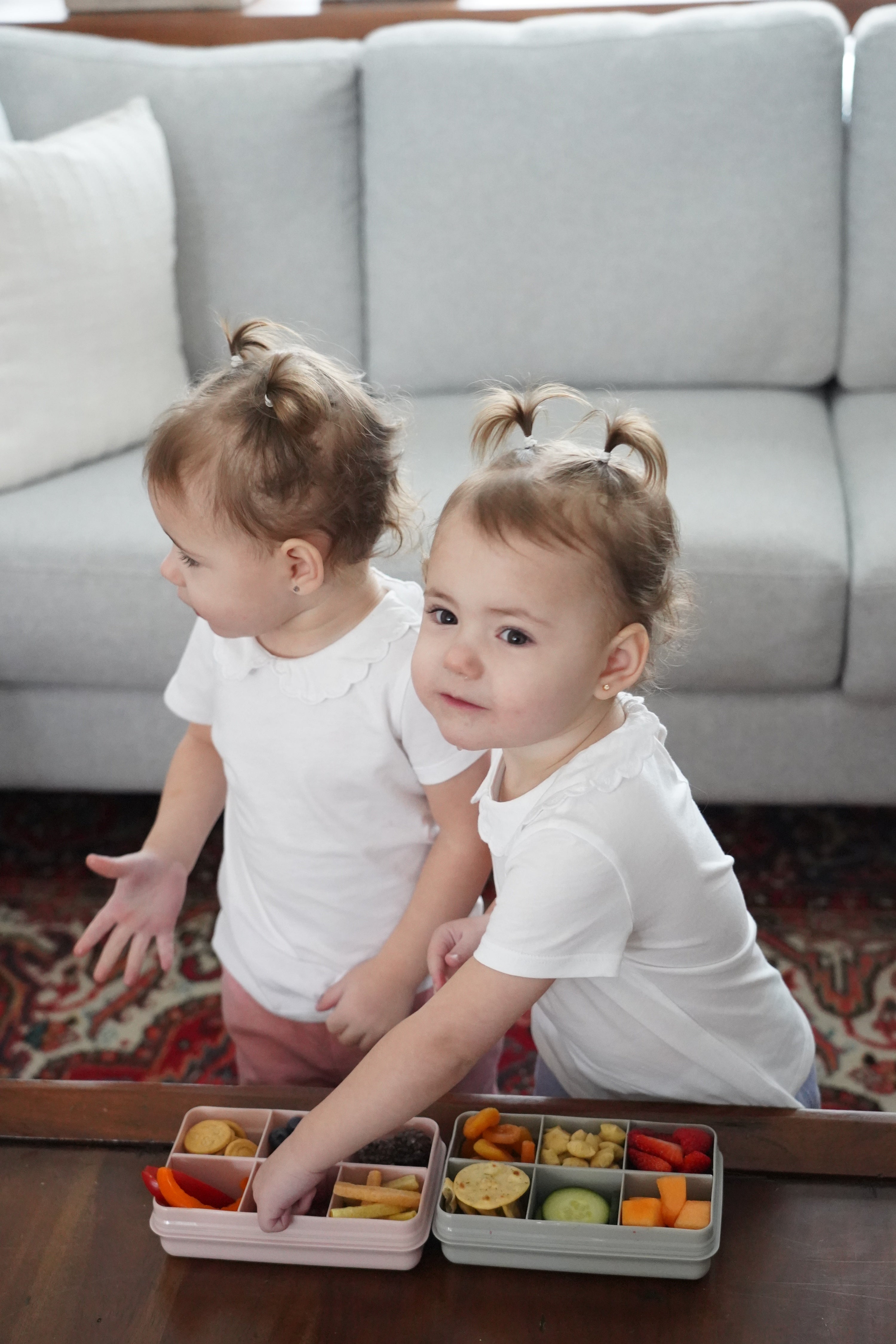 CUTIE SNACK 6 COMPARTIMENTE, MELII, GREY [ps:2b74c17a-1c51-4767-9614-1c00411738b2]