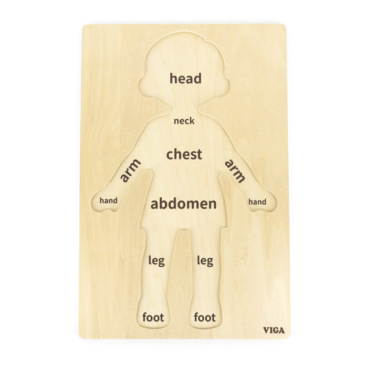 Puzzle Corpul uman - Baiat（12 piese), Viga - Imagine 1 [ps:111f409c-c139-4269-a796-f3230fa3c4ce]