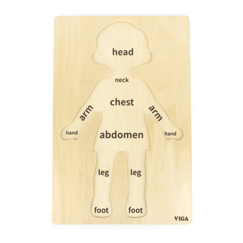 Puzzle Corpul uman - Baiat（12 piese), Viga - Imagine 1 [ps:111f409c-c139-4269-a796-f3230fa3c4ce]