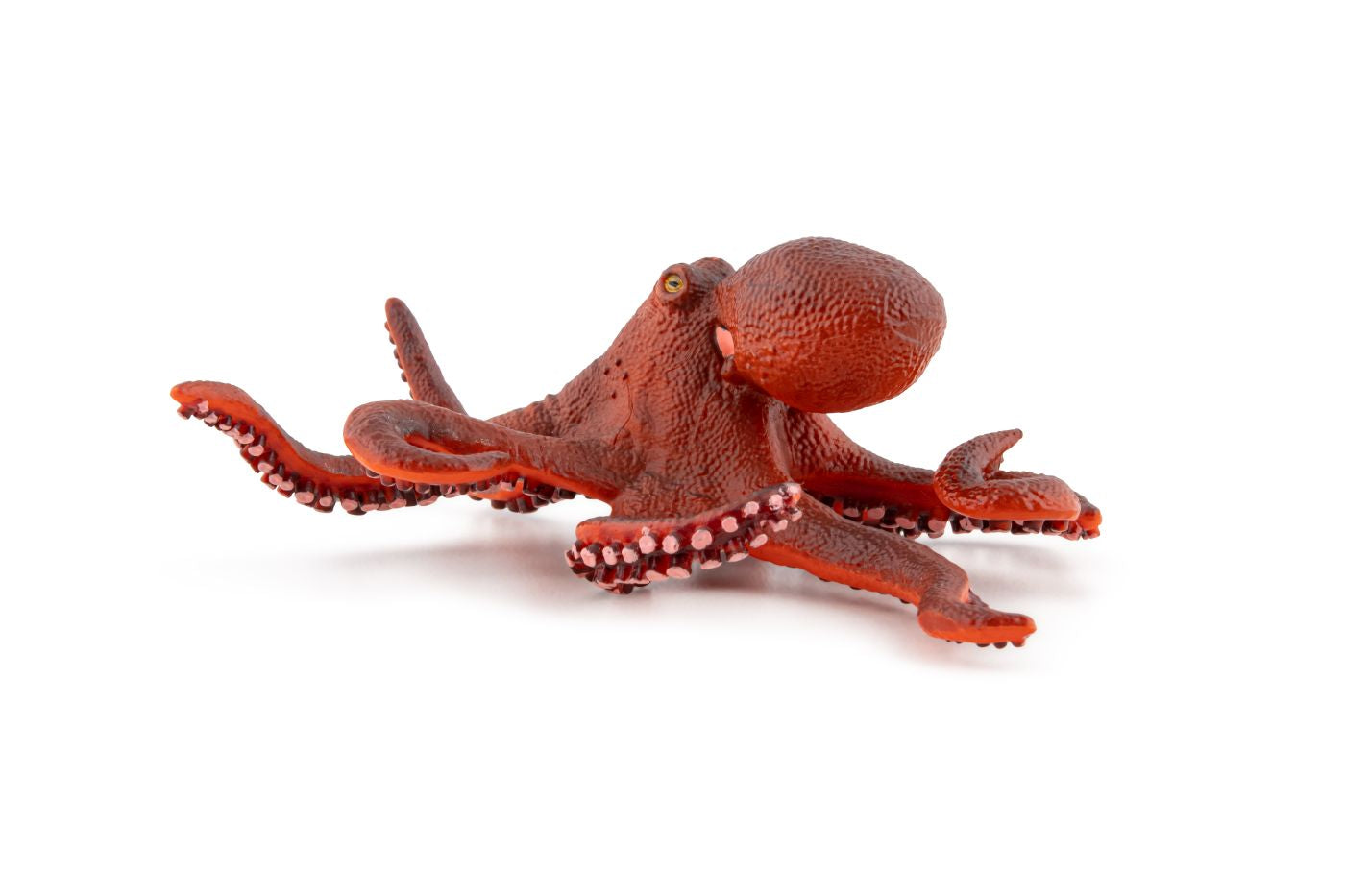 PAPO FIGURINA CARACATITA MICA - Imagine 1 [ps:09904ff8-357e-4a67-a86d-93d08daf5818]