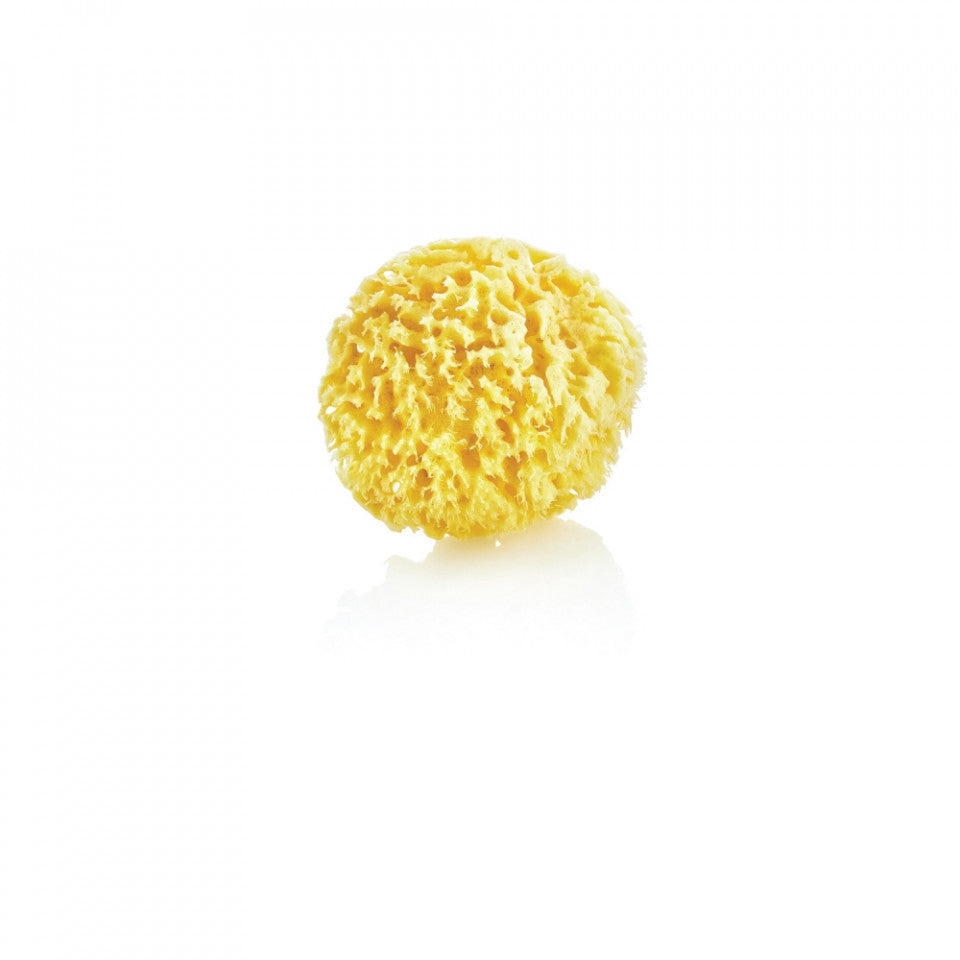 Burete natural pentru bebelusi BabyJem Sea Sponge - Imagine 1