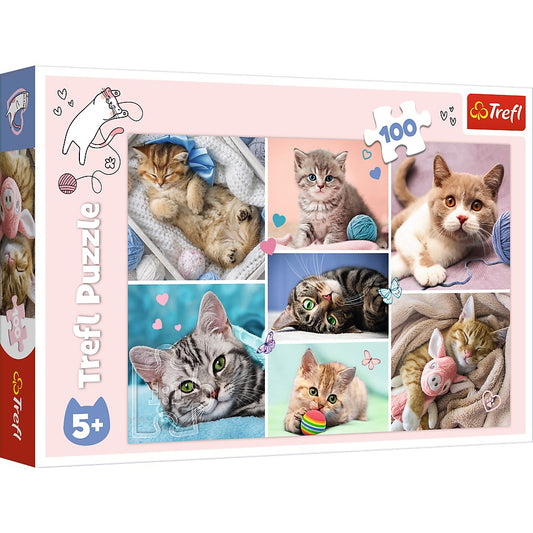 PUZZLE TREFL 100 IN LUMEA PISICILOR - Imagine 1 [ps:692604c3-71fe-497d-8ce0-265d04a85af7]