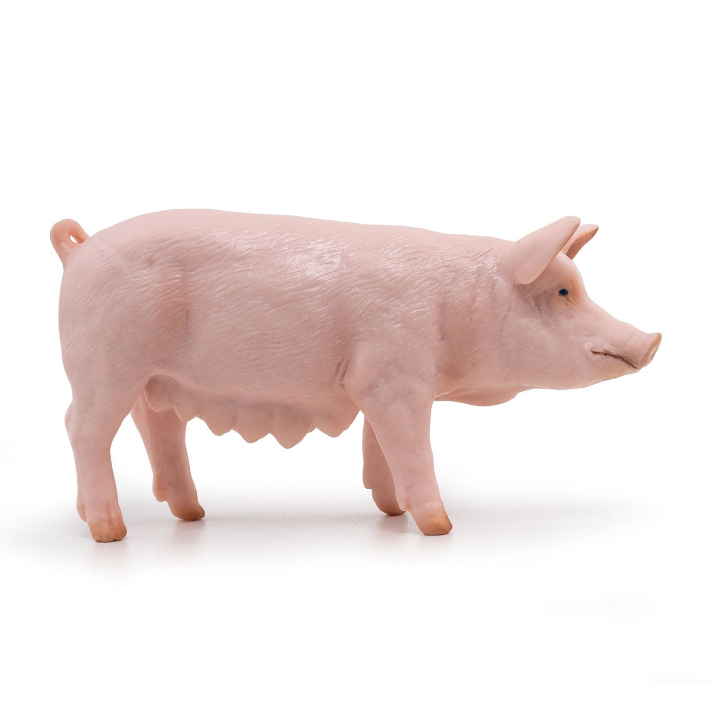 PAPO FIGURINA SCROAFA - Imagine 1 [ps:50511a76-054f-40f9-8c30-59b24e98dbc9]
