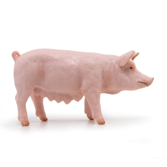 PAPO FIGURINA SCROAFA - Imagine 1 [ps:50511a76-054f-40f9-8c30-59b24e98dbc9]
