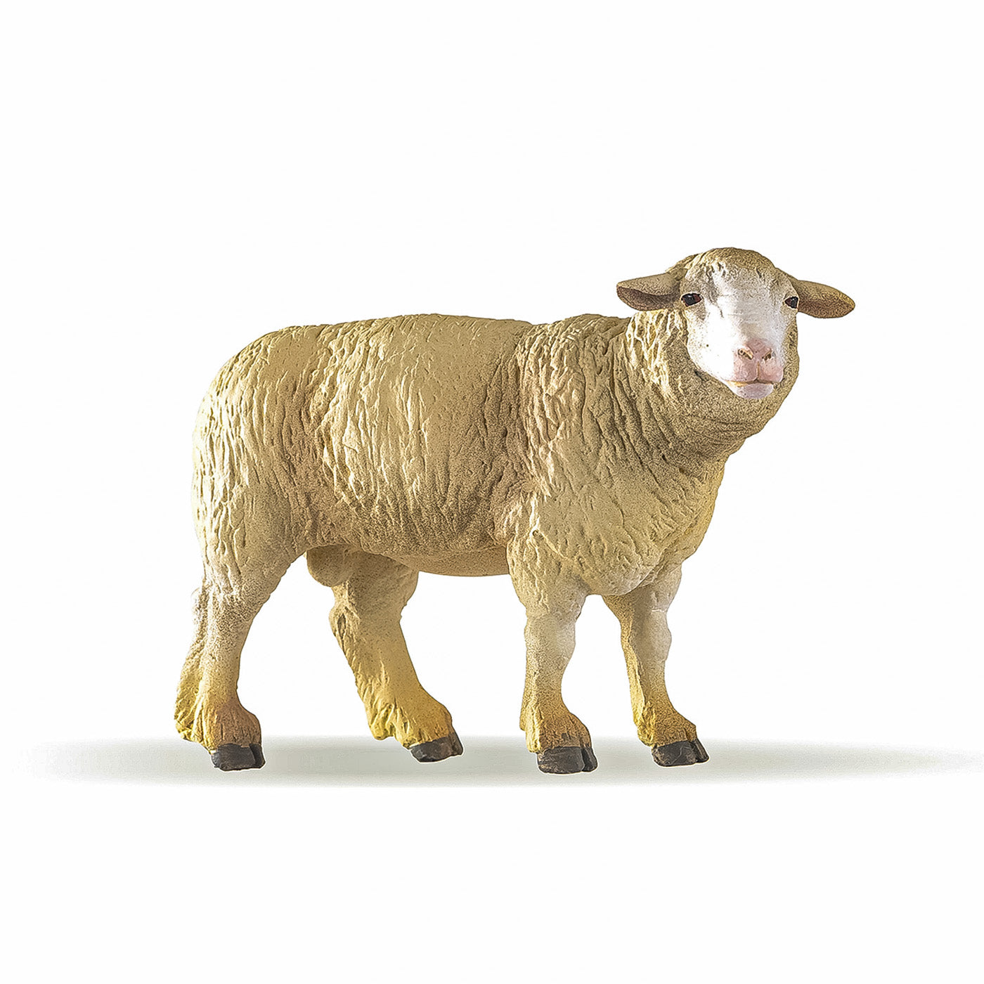 PAPO FIGURINA OAIE MERINOS - Imagine 1 [ps:c6f1eef4-9aae-45f2-964a-9d52510ecca9]