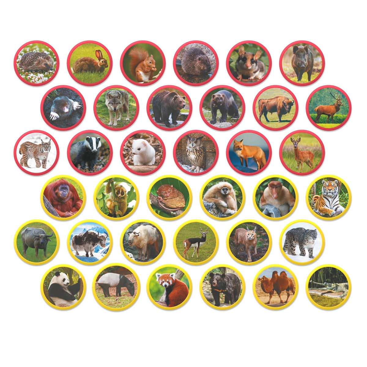 Set Magnetic Montessori Animale Eurasia - Dodo Toys - Default Title (1) [ps:c198b823-14e5-47de-9400-44b9c36613de]