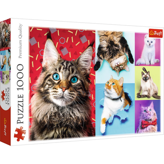 PUZZLE TREFL 1000 PISICUTE FERICITE - Imagine 1 [ps:721cf79c-e647-4c92-8f9a-893684c847f5]
