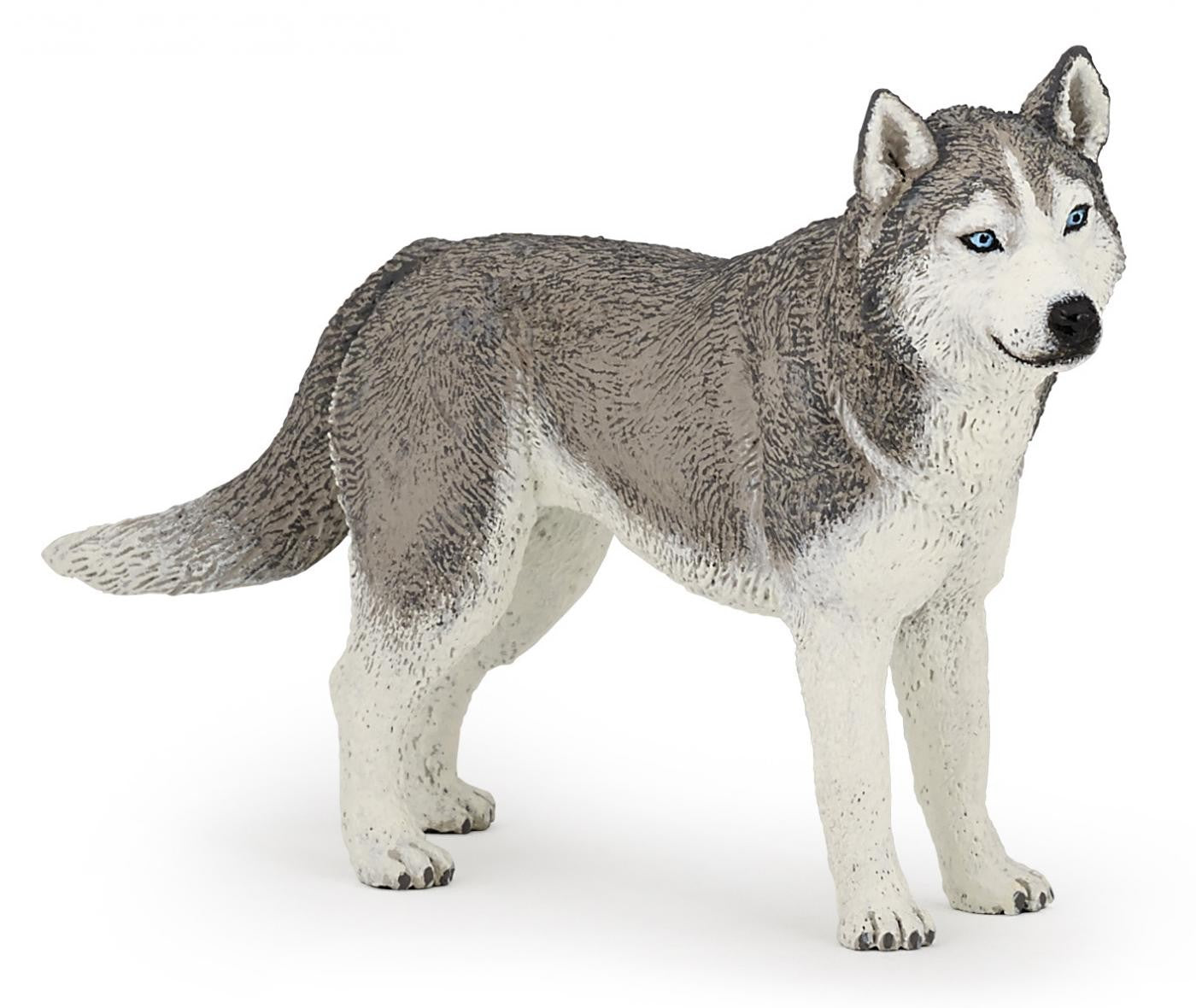 PAPO FIGURINA HUSKY SIBERIAN - Imagine 1 [ps:b6210eb7-8396-408f-aa25-4c095b9d0745]