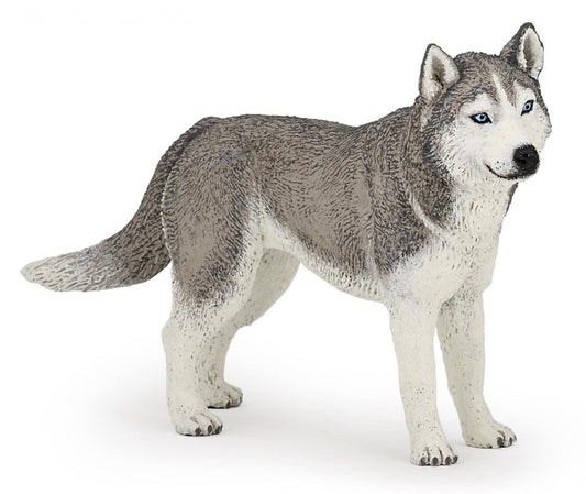 PAPO FIGURINA HUSKY SIBERIAN - Imagine 1 [ps:b6210eb7-8396-408f-aa25-4c095b9d0745]