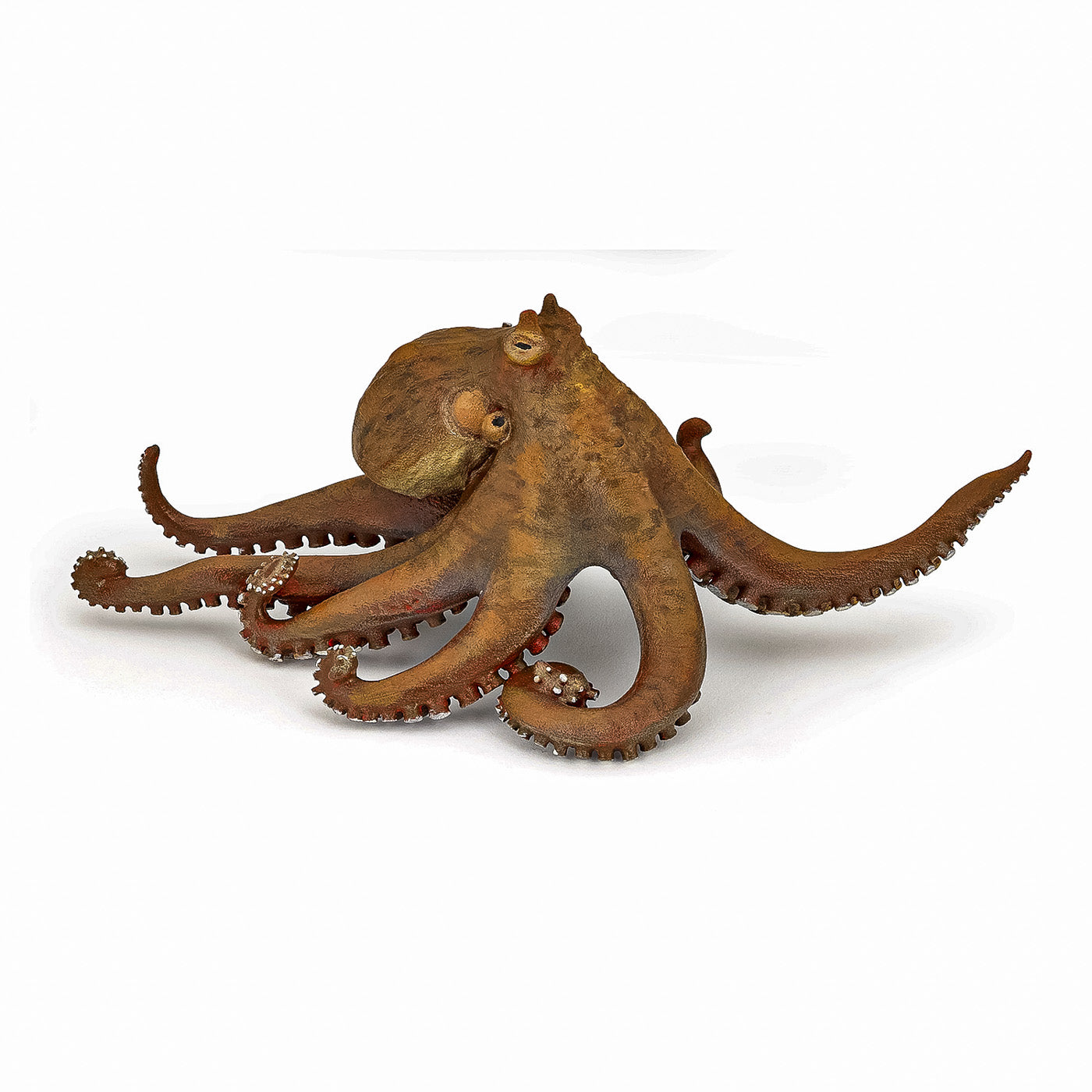 PAPO FIGURINA CARACATITA - Imagine 1 [ps:8b28fc5a-15ff-4036-b982-b7569a5c4478]