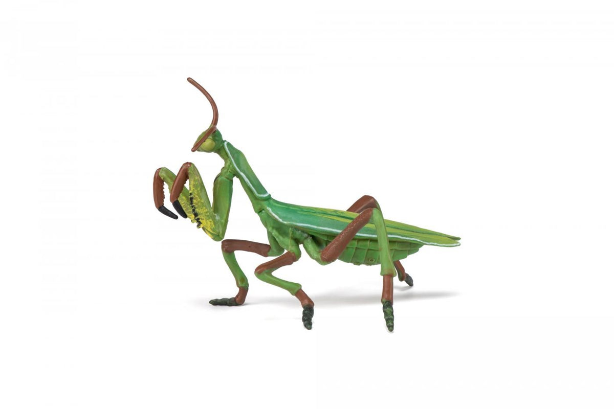 PAPO FIGURINA CALUGARITA - Default Title (1) [ps:171df9a7-d05f-4214-815b-4a2fcdc0b3ff]