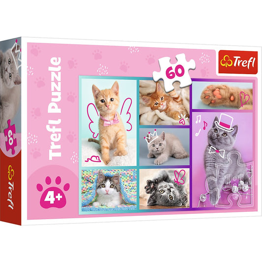 PUZZLE TREFL 60 PISICUTE DRAGUTE - Imagine 1 [ps:165e5501-14d8-47d2-9b08-57129f3361d9]