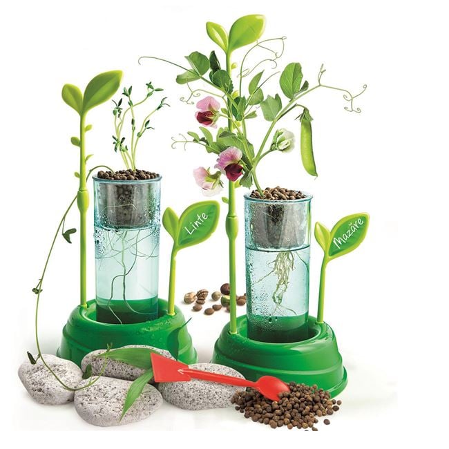 Gradina Mea Cultiva Plante Fara Sol Clementoni - Jumbo - Default Title (1) [ps:c017e499-4eaf-4393-9a28-4ef5ea7dea6d]