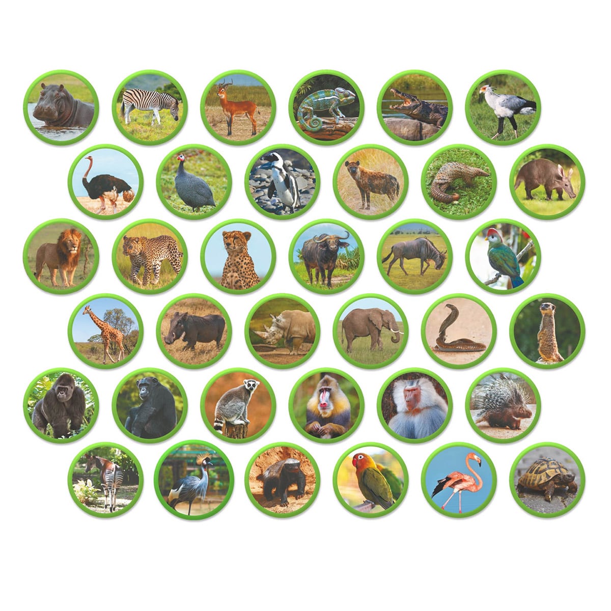 Set Magnetic Montessori Animale Africa - Dodo Toys - Default Title (1) [ps:d15aff0b-2f44-4dc5-964e-0afa43faba97]
