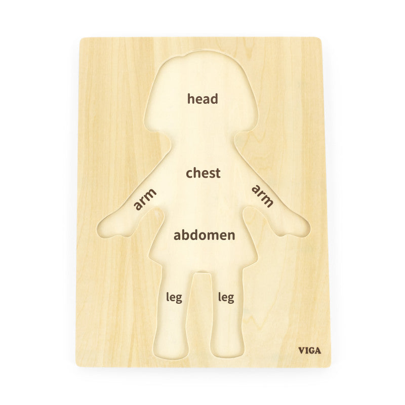 Puzzle Corpul uman - Fata（7 piese), Viga - Imagine 1 [ps:3455c85a-fc83-41ca-af00-7253667e7252]