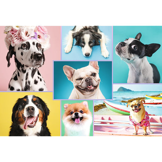 PUZZLE TREFL 1500 CATELUSII AMUZANTI [ps:ed146d75-150e-4ac9-a0fe-cceba0ce3581]