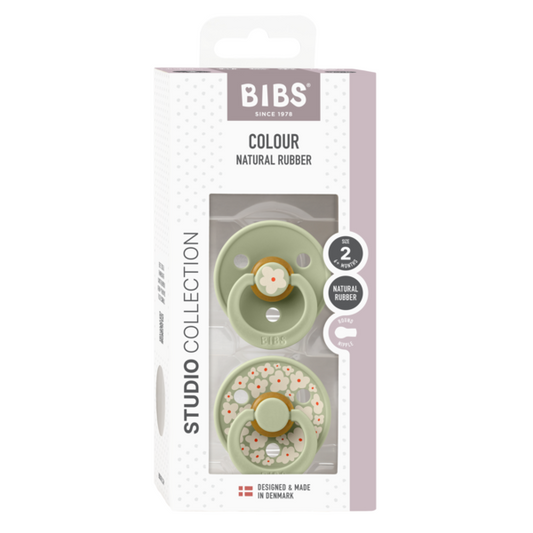 Set 2 Suzete BIBS Colour Studio Flower Latex, 6m+, Sage - Sage (1) [ps:a5541347-38e0-4a29-ac1d-11468584ca3d]