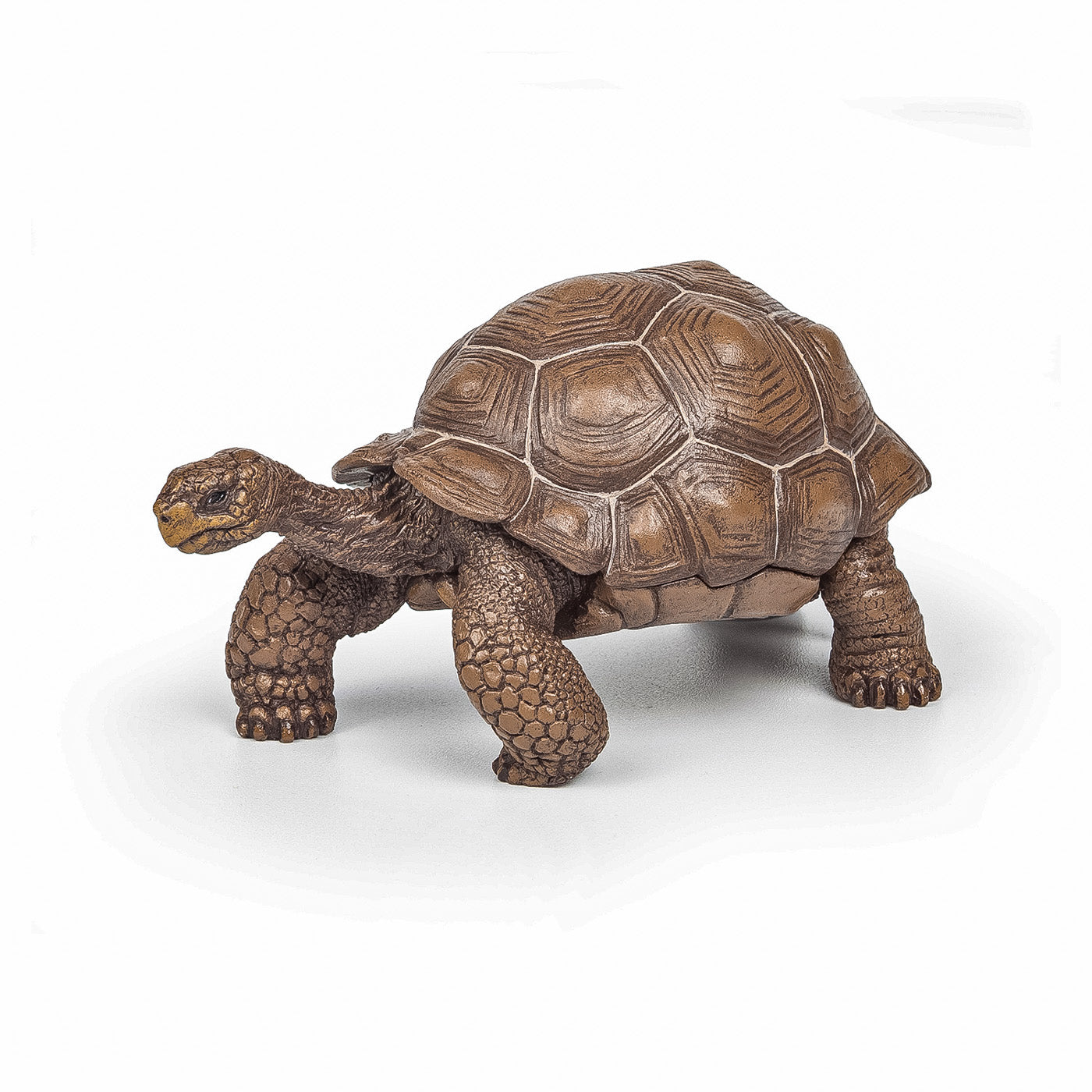 PAPO FIGURINA TESTOASA GALAPAGOS - Imagine 1