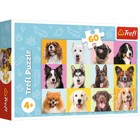 PUZZLE TREFL 60 CATEI DRAGUTI - Imagine 1 [ps:4602eb50-682f-4e5c-8241-4786705b2b80]