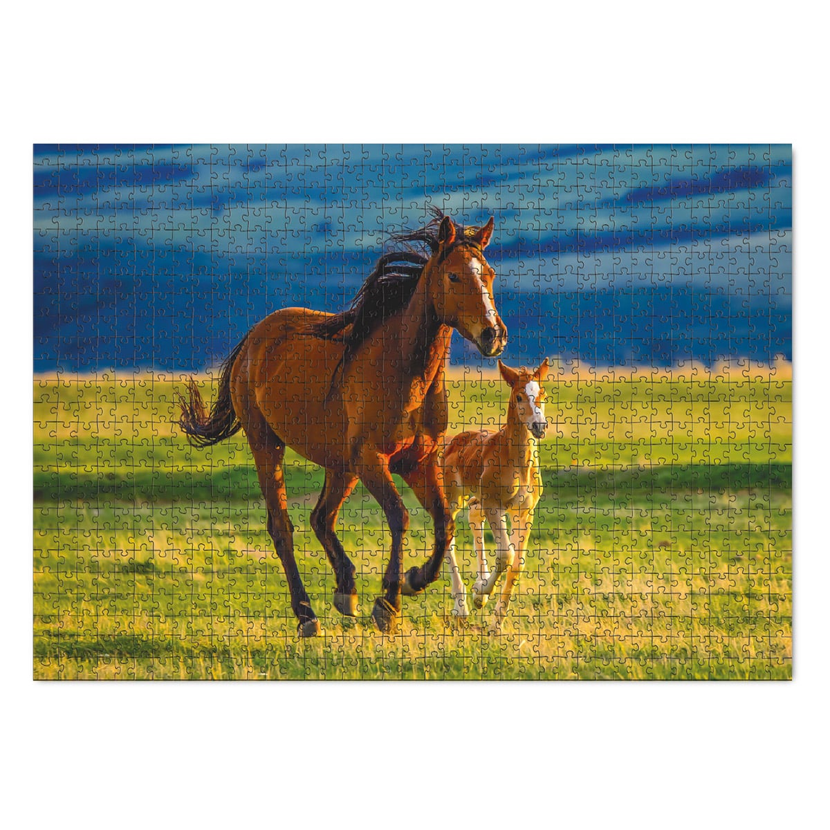 Puzzle Iapa cu Manz, 1000 Piese - Dodo Toys - Default Title (1) [ps:40da6938-6320-4937-bd48-dc4927167ffa]