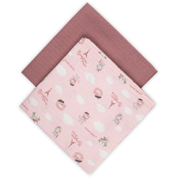 Canpol babies Muselina pentru infasare nou-nascuti 70x70 - Roz [ps:1e966e14-cfa3-4c69-90a7-d4bcf62d5b05]