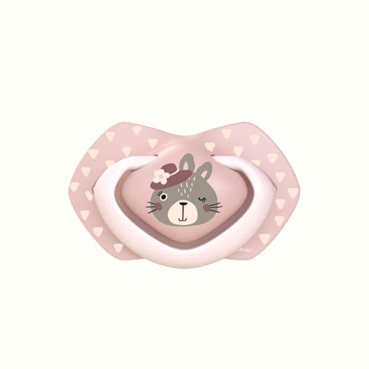 Canpol Babies Suzeta Simetrica Din Silicon 18 M+ Bonjour Paris 2 Pcs 22/649_Pin [ps:efc69396-a767-429f-a9fc-6ad51f5e417a]
