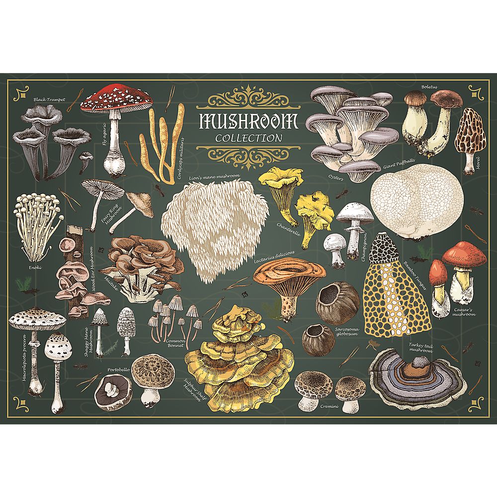 PUZZLE TREFL 500 PREMIUM PLUS FINDERS KEEPERS CIUPERCI - Default Title (1) [ps:5b0b0e5a-d5d0-43bb-8d64-4c421106a239]