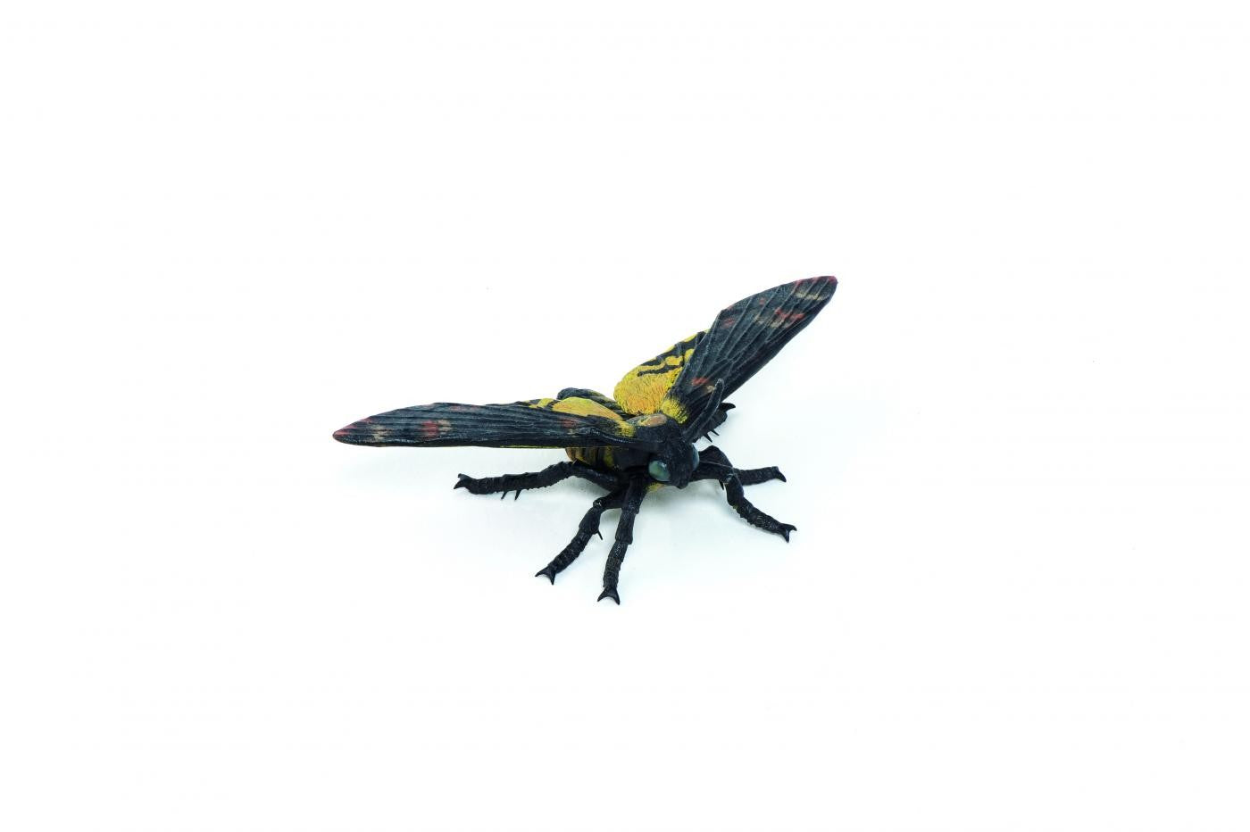 PAPO FIGURINA MOLIE - Imagine 1 [ps:512d965e-842d-47ac-b6e2-f1262532f7fb]