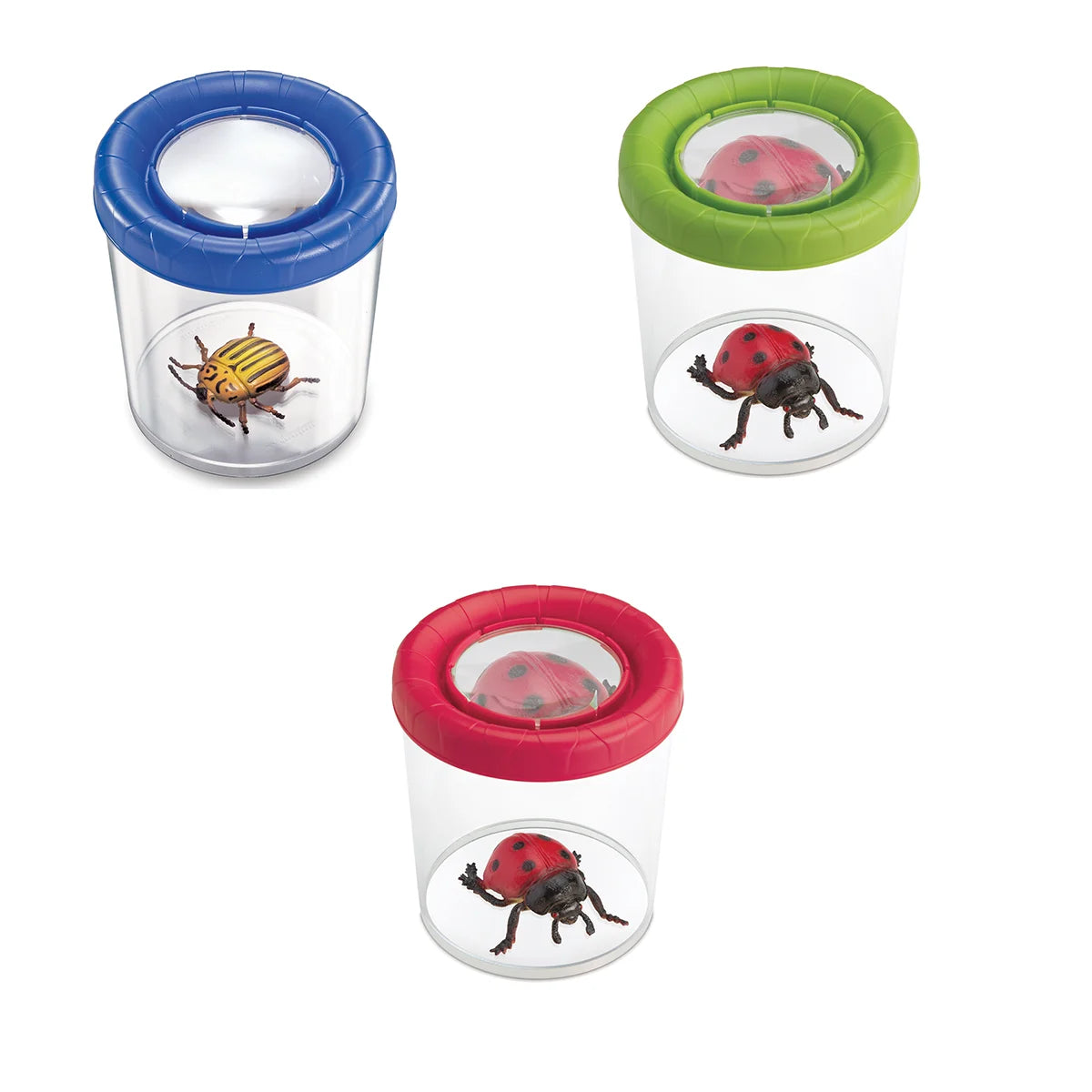 Borcan Jumbo pentru Observarea Insectelor Navir - Default Title (1) [ps:67629328-b8ac-44b6-87d0-15f099ad0576]