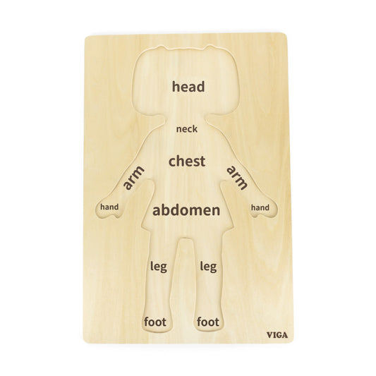 Puzzle Corpul uman - Fata（12 piese), Viga - Imagine 1 [ps:65bf75a2-cf4b-489f-846d-b20d66d37b6b]