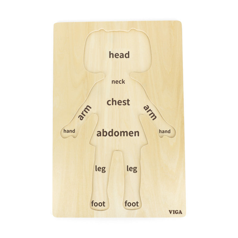 Puzzle Corpul uman - Fata（12 piese), Viga - Imagine 1 [ps:65bf75a2-cf4b-489f-846d-b20d66d37b6b]
