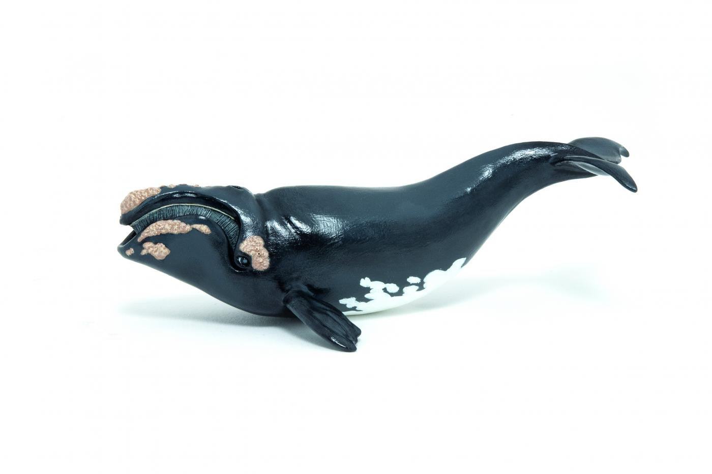 PAPO FIGURINA BALENA - Imagine 1 [ps:5e52ff28-f0d9-4a13-91a6-96ec2cae7bea]